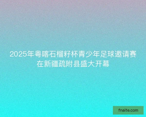 2025年粤喀石榴籽杯青少年足球邀请赛在新疆疏附县盛大开幕